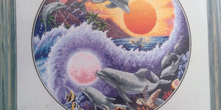 Dimensions – Sun and Moon Dolphins
